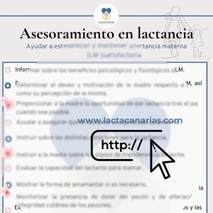 Asesoramiento de lactancia - Ayudar a establecer y mantener una lactancia materna satisfactoria